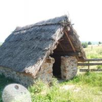 , mokunka
