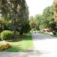 , mokunka