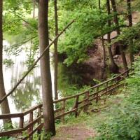 , mokunka