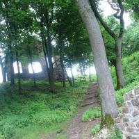 , mokunka