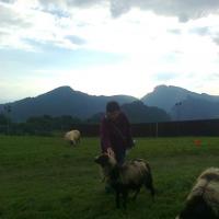 , marian