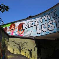 Krzywe Lustra w Wesołym Miasteczku