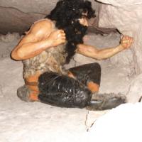 Rezerwat Krzemionki, mokunka