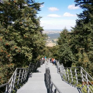 Góry Świętokrzyskie, Danusia