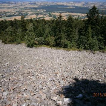 Gołoborza, Danusia