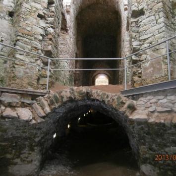 , Danusia