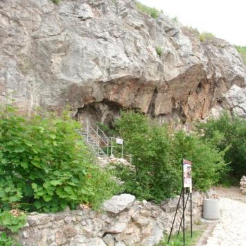 , mokunka