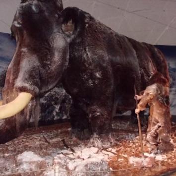 Mamut w Chęcinach, mokunka