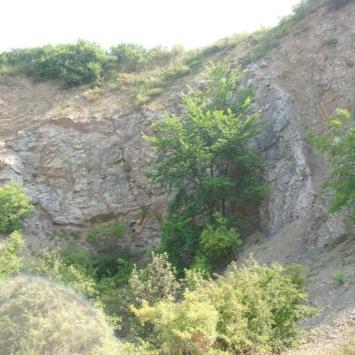 , mokunka
