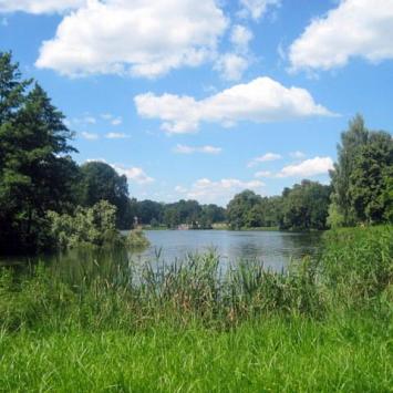 widok na wysepkę na stawie, Roman Świątkowski