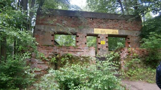 , Danusia