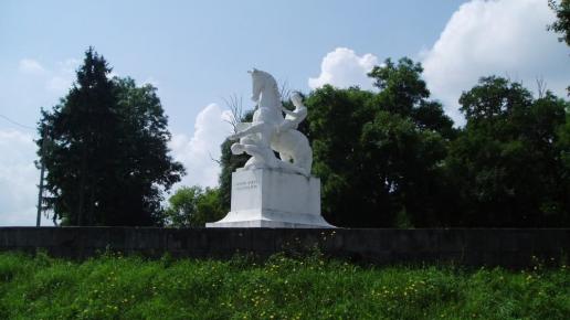 , Danusia