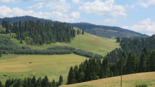 Widok z wyciągu, Tadeusz Walkowicz