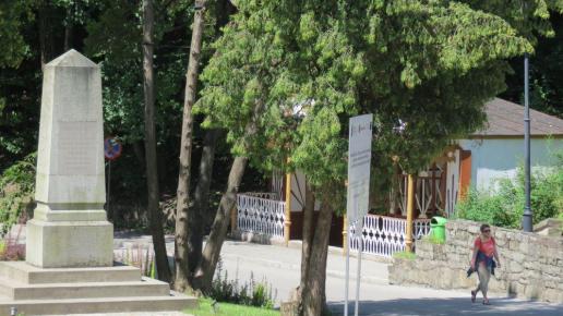 Pomnik Dietla, Tadeusz Walkowicz
