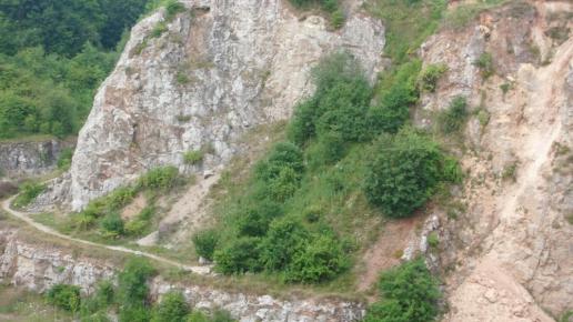 , mokunka