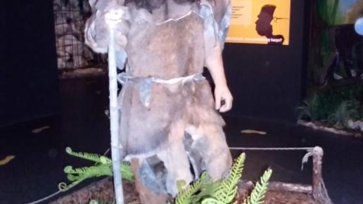 , mokunka