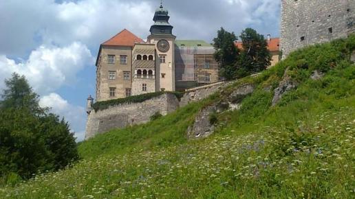 , marian