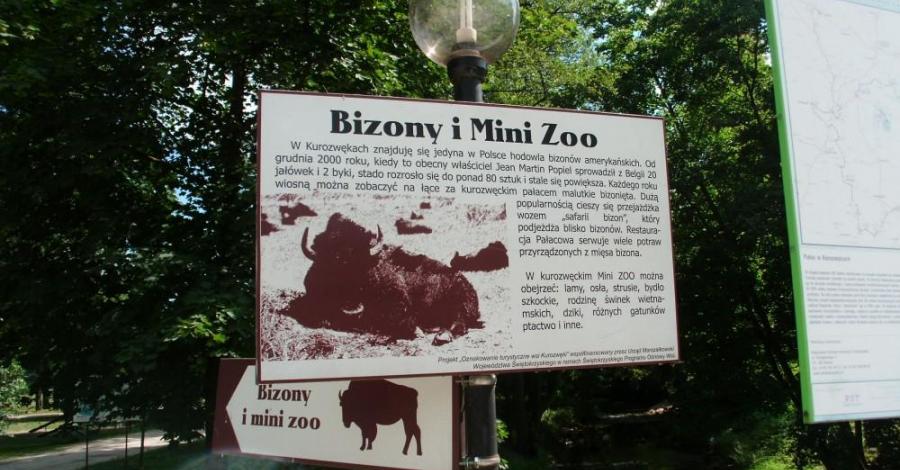 Popołudnie w Kurozwękach - zdjęcie