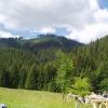 , Danusia