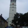 , Danusia
