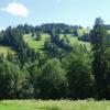 , Danusia