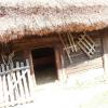 , mokunka