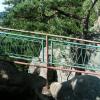 , mokunka