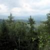 widok z