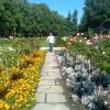 , marian
