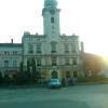 , marian