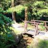Arboretum