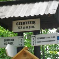 sokolica, mirosław