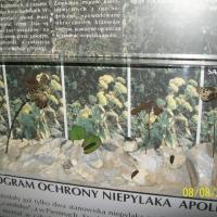 sromowce niżne, mirosław