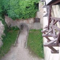 , Danusia