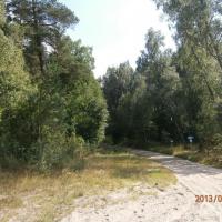 , Danusia