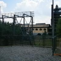 , Danusia
