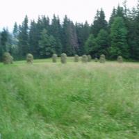, Danusia