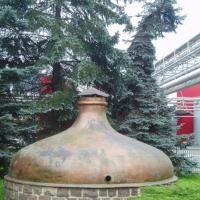 , Danusia
