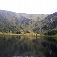 mały staw, Krzysztof Dorota