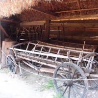 , mokunka