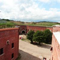 Srebrna Góra, mokunka