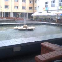 , marian