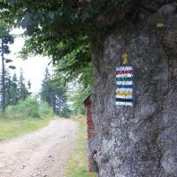 Szlaki na Magurce