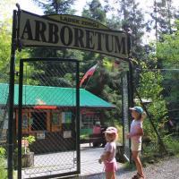 Arboretum w Lądku