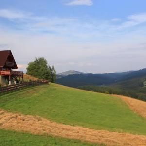 Jaworzynka