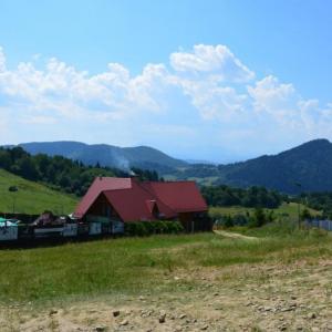 Palenica
