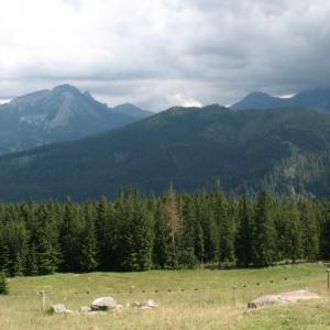 Rusinowa Polana