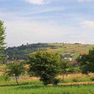 Złoty Groń w Beskidzie Śląskim