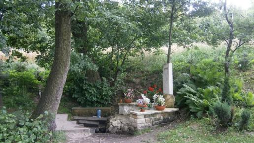 , Danusia
