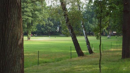 Pole golfowe, Tadeusz Walkowicz